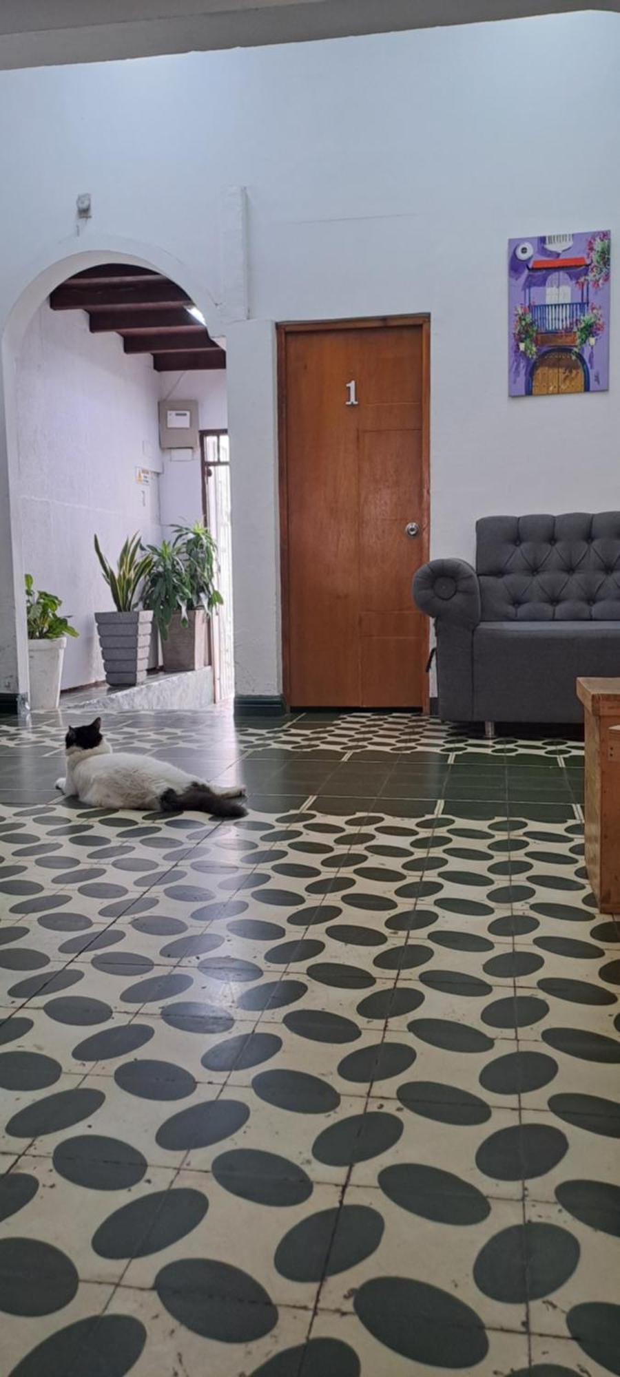 Hostal Casa Lara Cartagena Eksteriør billede